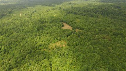 Property in Marengo County, Alabama