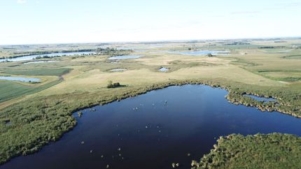 Property in Big Stone County, Minnesota
