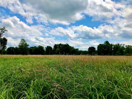 Property in Ingham County, Michigan