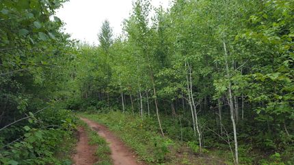 Property in Douglas County, Wisconsin