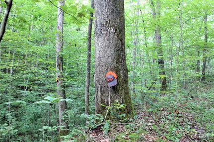 Property in Leslie County, Kentucky