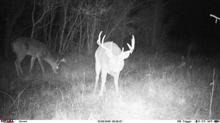 Property in Rapides Parish, Louisiana