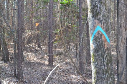 Property in Calhoun County, Arkansas