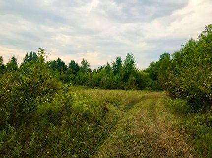 Property in Shiawassee County, Michigan
