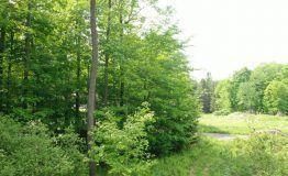 Property in Susquehanna County, Pennsylvania