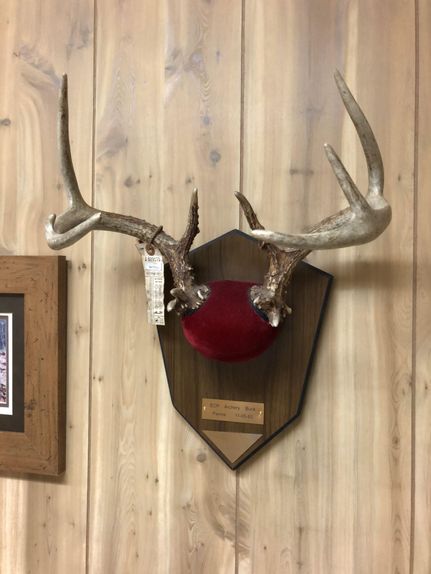 Property in Jackson County, Michigan