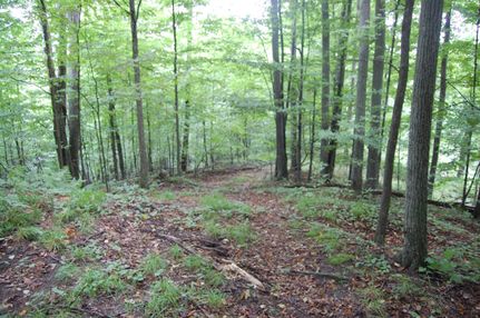 Property in Kalkaska County, Michigan