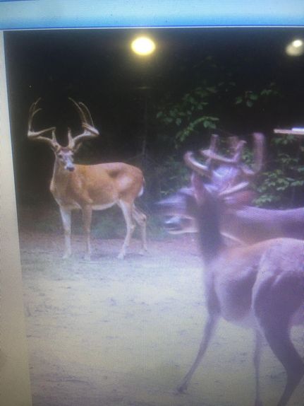 Property in Natchitoches Parish, Louisiana