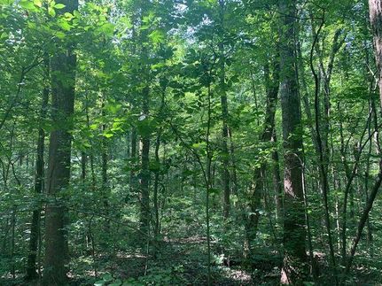 Property in Warrick County, Indiana