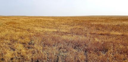 Property in Logan County, North Dakota