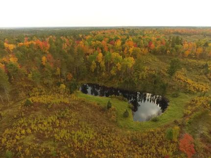 Property in Vilas County, Wisconsin