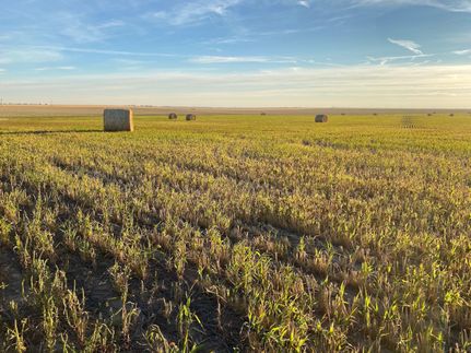 Property in Washington County, Colorado
