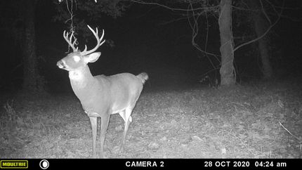 Property in Rappahannock County, Virginia