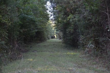 Property in Livingston Parish, Louisiana
