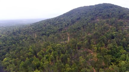 Property in Morgan County, Tennessee