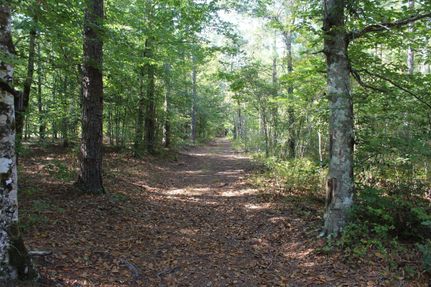 Property in Pamlico County, North Carolina