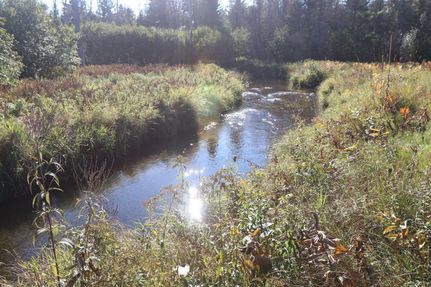 Property in Alcona County, Michigan