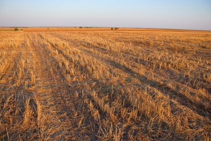 Property in Pawnee County, Kansas