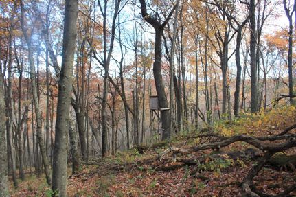 Property in Waushara County, Wisconsin