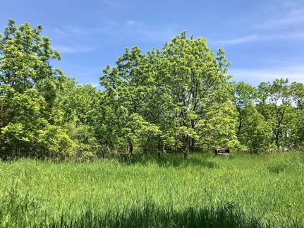 Property in Hillsdale County, Michigan