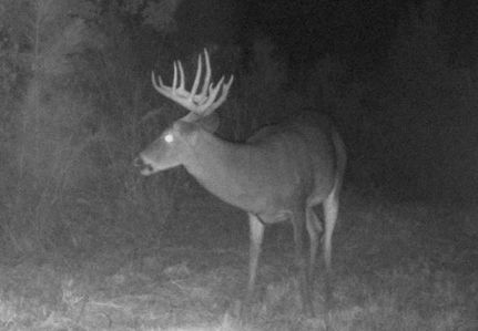 Property in Laurens County, Georgia