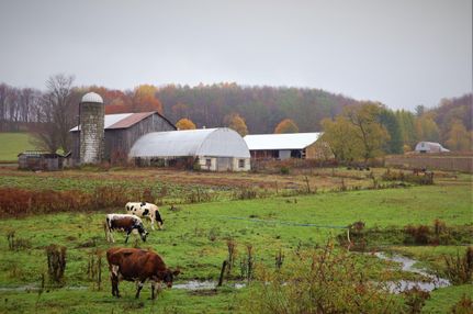 Property in Cattaraugus County, New York
