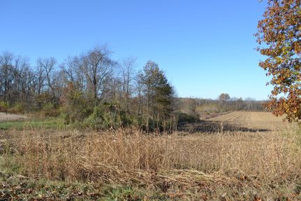 Property in Clark County, Illinois