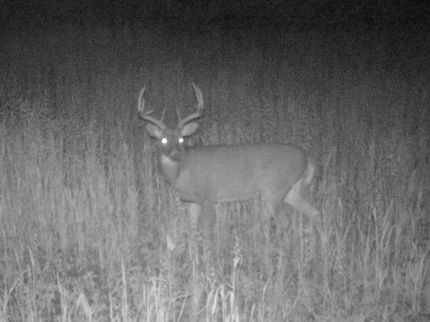 Property in Price County, Wisconsin