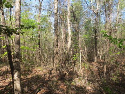 Property in Newton County, Mississippi