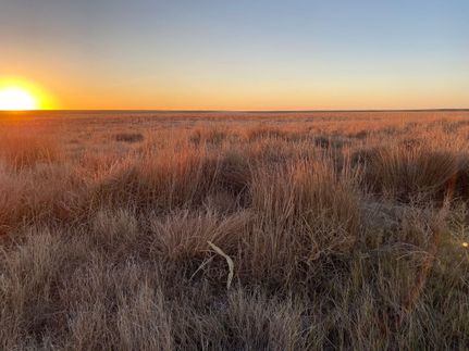 Property in Kit Carson County, Colorado