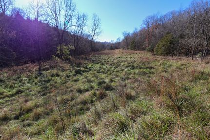 Property in Nicholas County, Kentucky