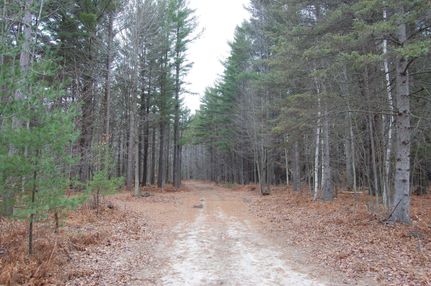 Property in Iosco County, Michigan