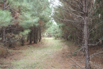 Property in Natchitoches Parish, Louisiana