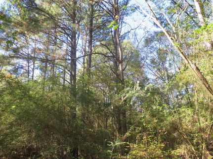 Property in Smith County, Mississippi