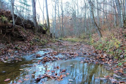 Property in Lawrence County, Kentucky