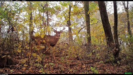 Property in Allamakee County, Iowa