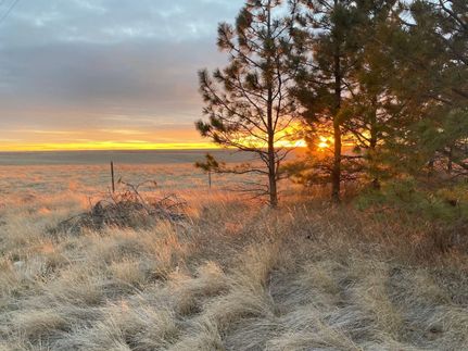 Property in Box Butte County, Nebraska