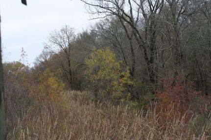 Property in Franklin Parish, Louisiana