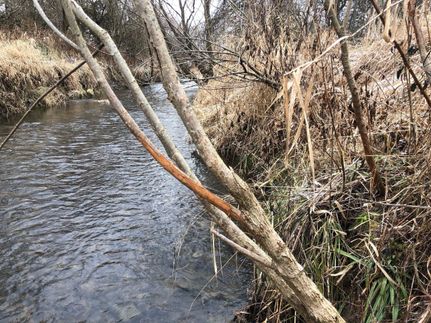 Property in Lee County, Illinois