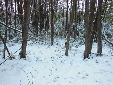 Property in Marathon County, Wisconsin