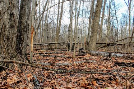 Property in Van Buren County, Michigan