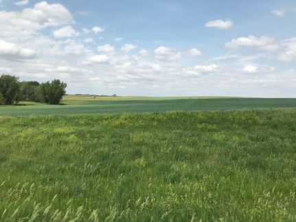 Property in Emmons County, North Dakota