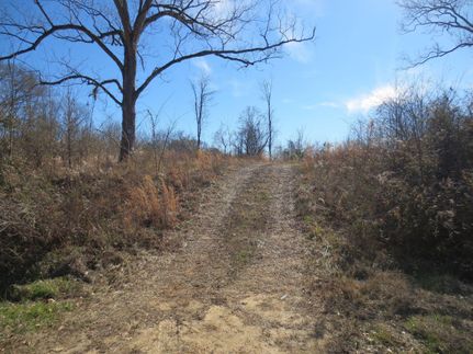 Property in Jefferson County, Mississippi