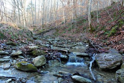 Property in Powell County, Kentucky