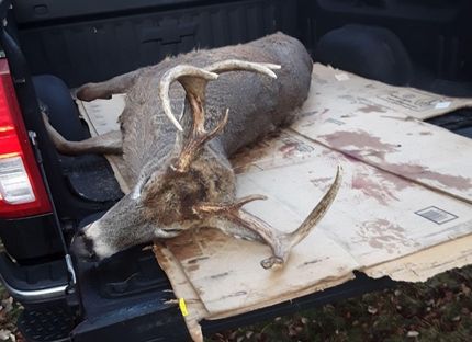 Property in Shawano County, Wisconsin