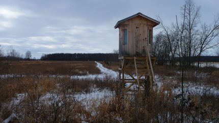 Property in Gratiot County, Michigan