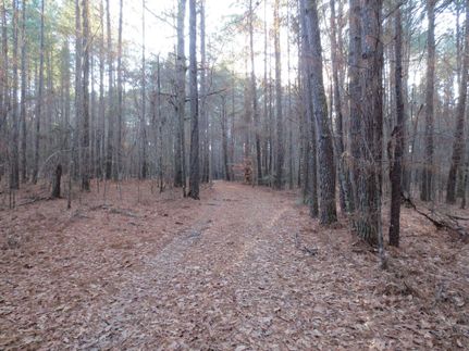 Property in Rankin County, Mississippi