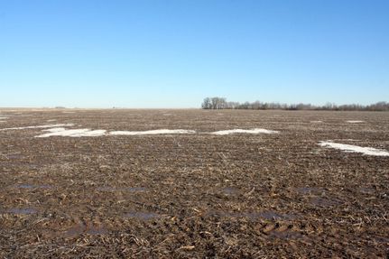 Property in Barton County, Missouri