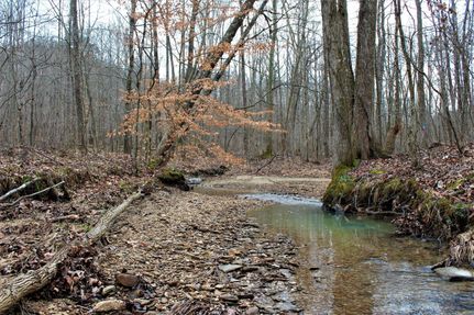 Property in Montgomery County, Kentucky