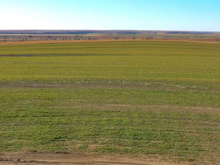 Property in Ellis County, Kansas